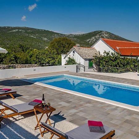 House Camellia With Fenced Pool And Playground Villa Blizna Donja Buitenkant foto