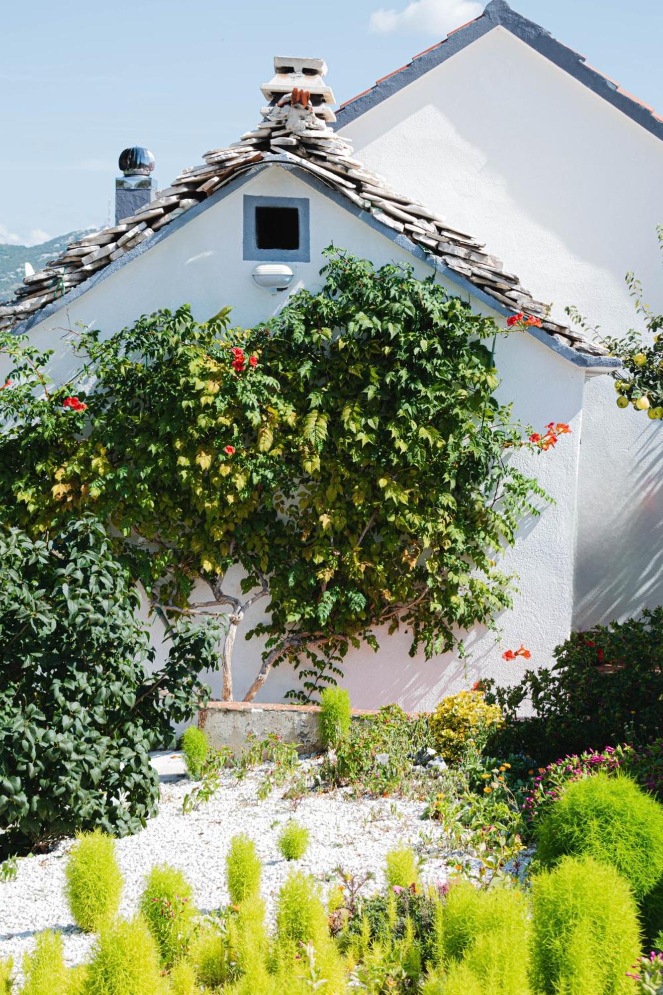 House Camellia With Fenced Pool And Playground Villa Blizna Donja Buitenkant foto